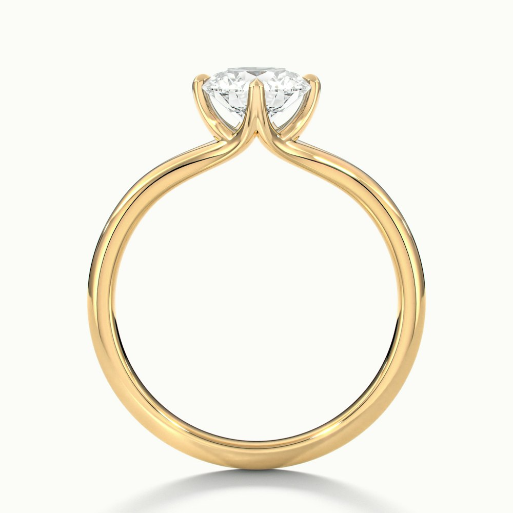 Nelli 3 Carat Round Cut Solitaire Lab Grown Diamond Ring in 10k Yellow Gold