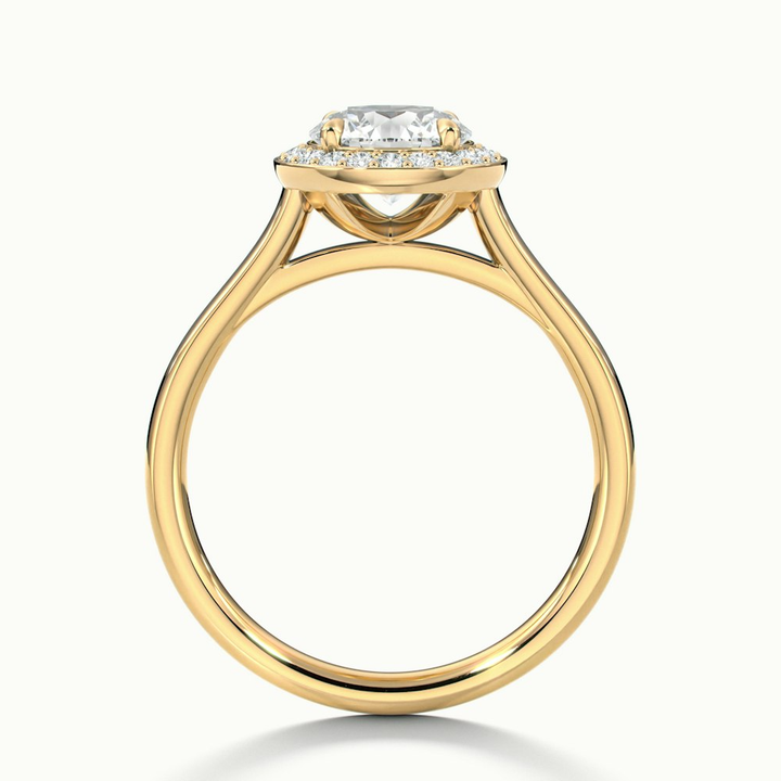 Iva 1 Carat Round Halo Moissanite Diamond Ring in 10k Yellow Gold